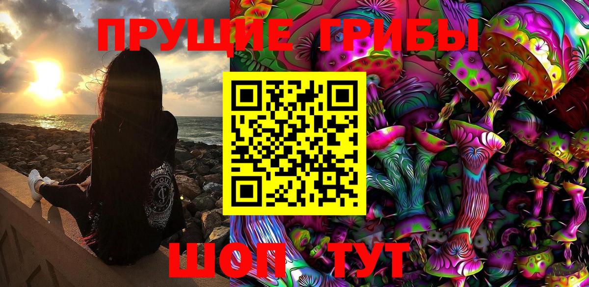 Сызрань  Галлюциногенные грибы Cubensis  Вход с VPN 